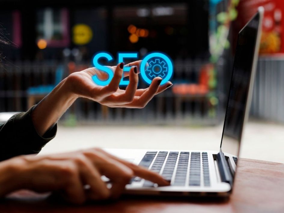 Bolu SEO Danışmanı
